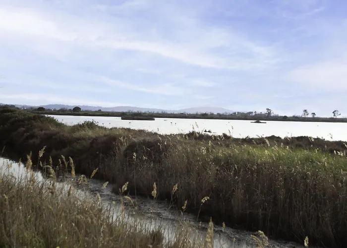 Les Regates-6 By Interhome Hyères